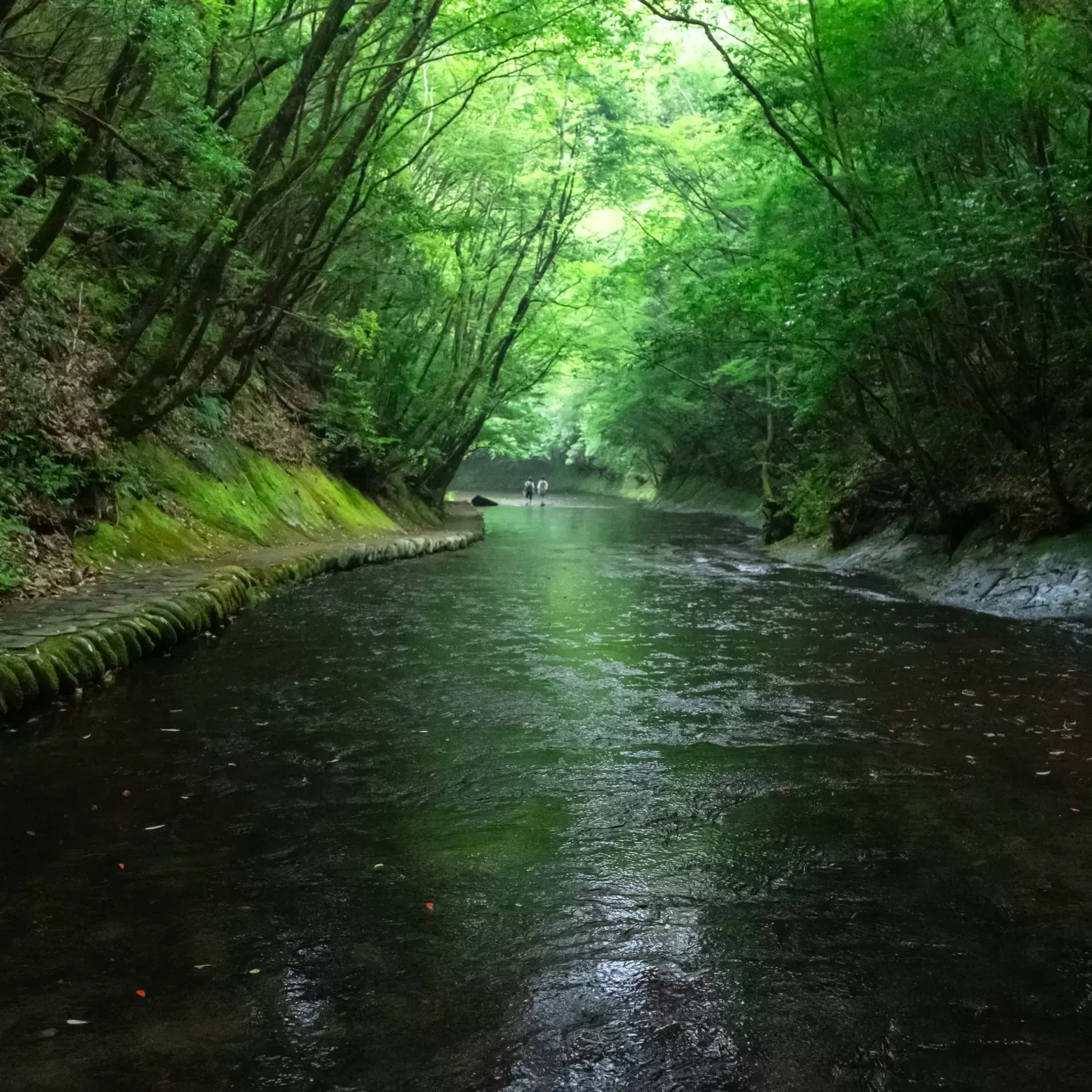 岳切渓谷で納涼