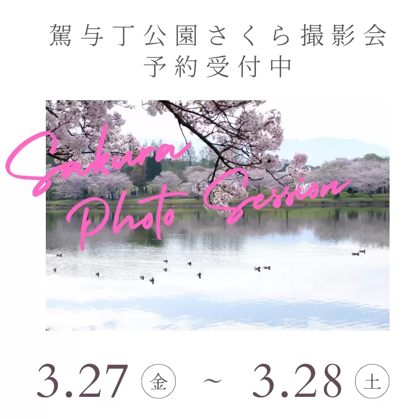 駕与丁公園(かよいちょう公園)さくら撮影会予約受付中