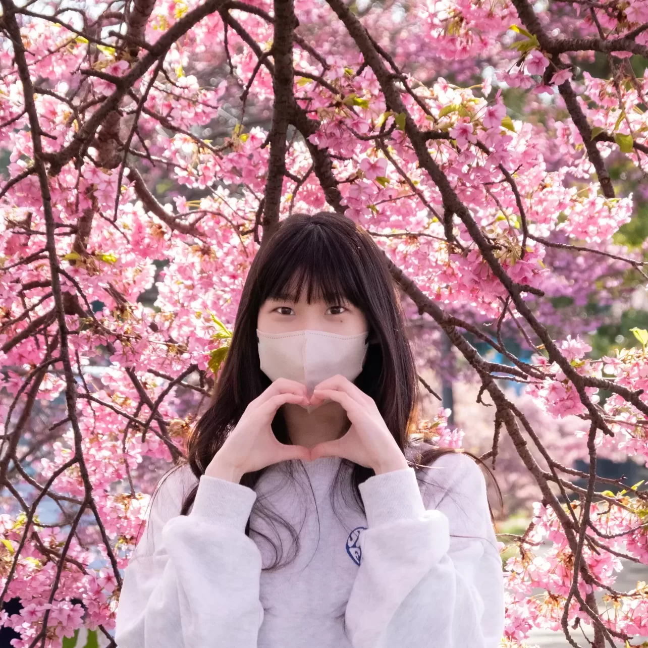 静豊園で河津桜ストリートポートレート